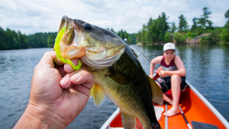 Summertime Largemouth Bass Fishing in New Jersey