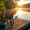 best bass fishing rods